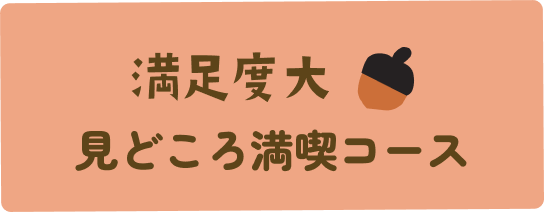 コース見出し